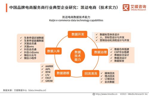 2023年中國品牌電商服務(wù)商行業(yè)研究報(bào)告 信息技術(shù)咨詢服務(wù)的價(jià)值重塑與趨勢洞察